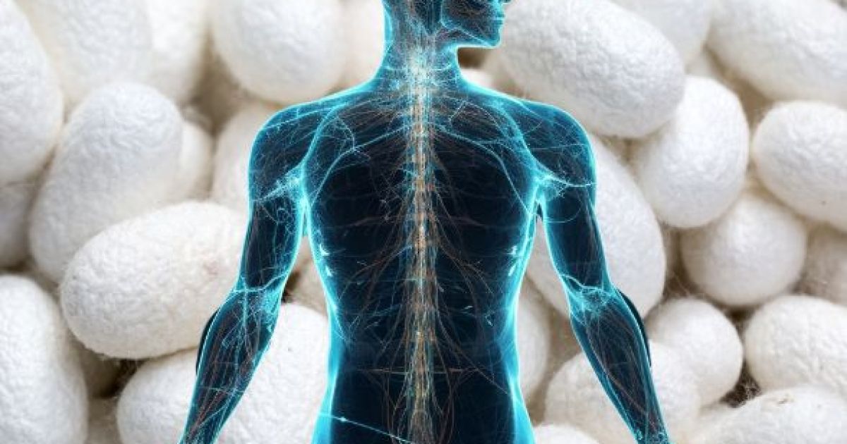 When silk meets electronics: a biomedical revolution